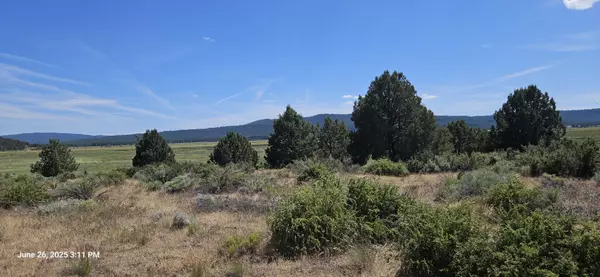 Sprague River, OR 97639,Drews Road #Lot 10 Por 27