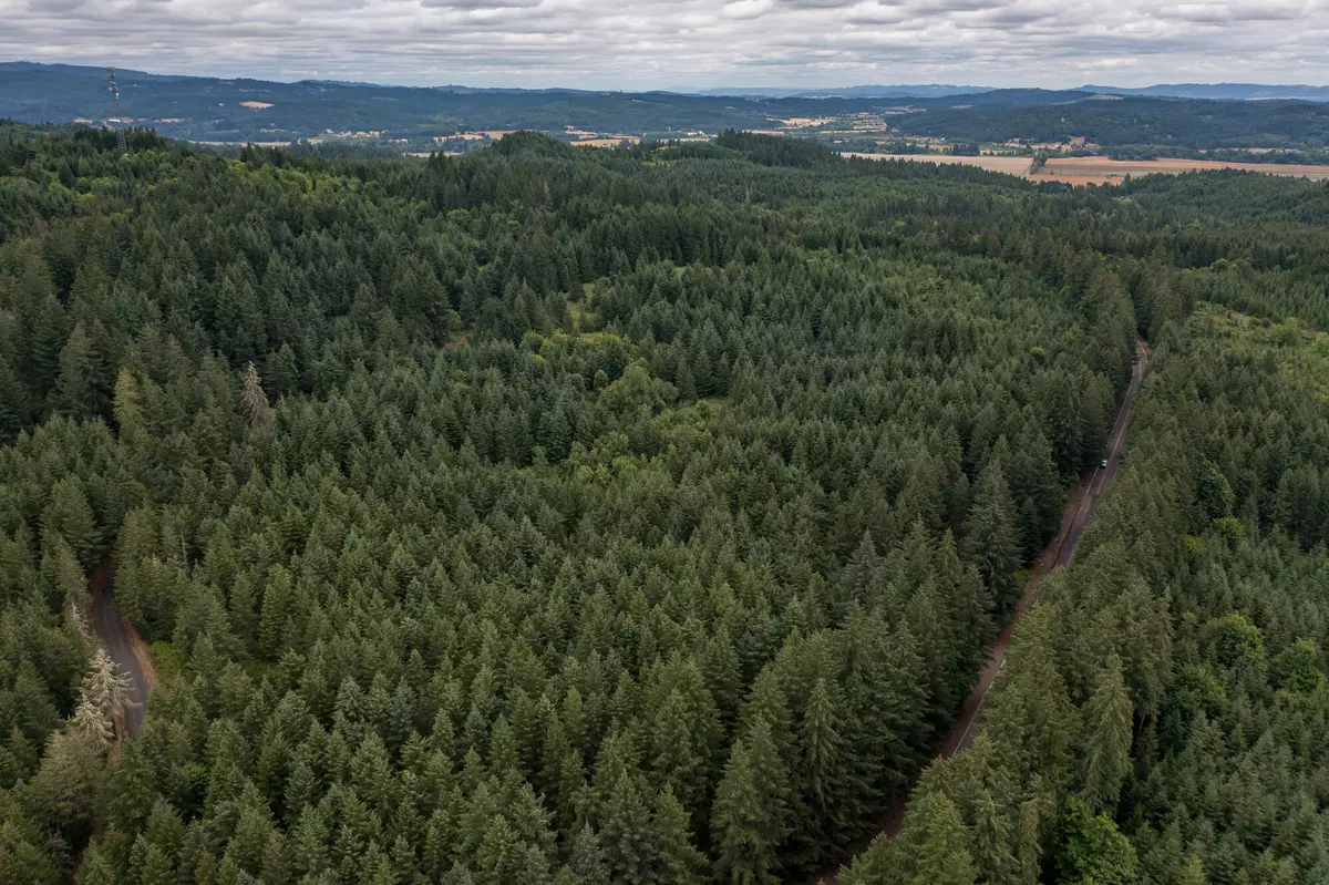 Dallas, OR 97338,0 McTimmonds RD