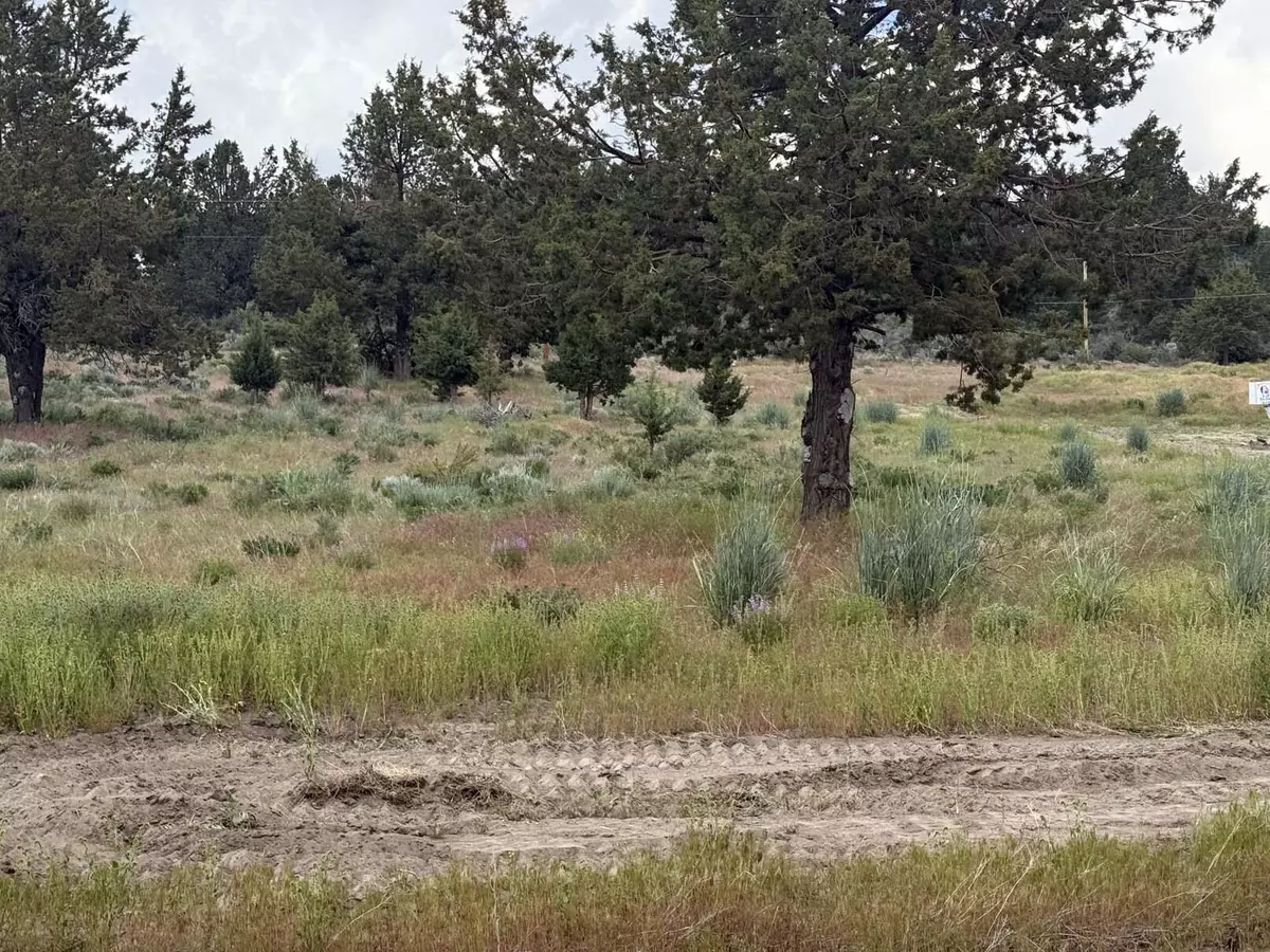 Chiloquin, OR 97624,Drews Road #19