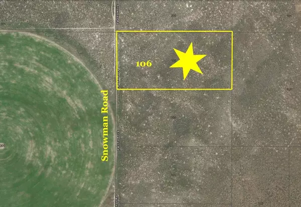 Christmas Valley, OR 97641,Snowman Road #106