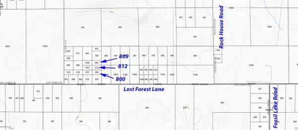 Christmas Valley, OR 97641,Lost Forest Lane #812