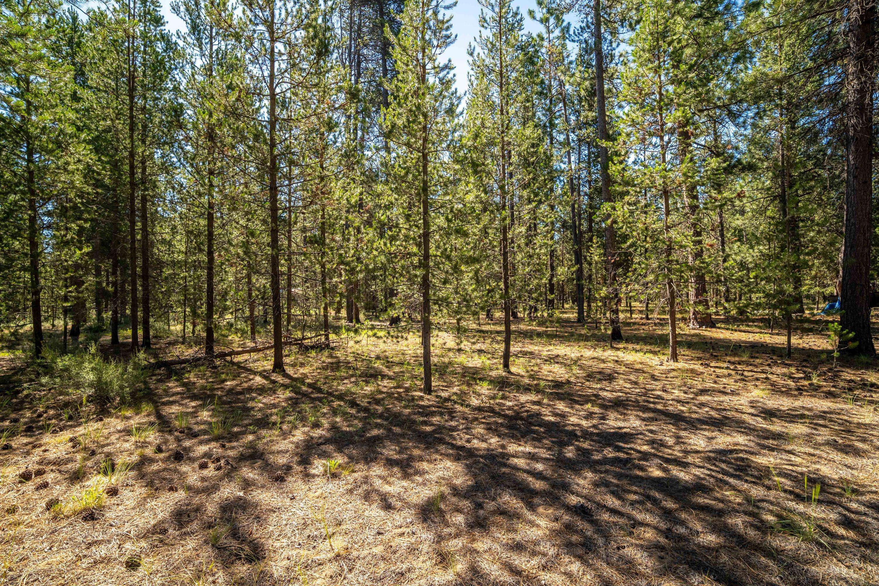 15685 Twin DR, La Pine, OR 97739