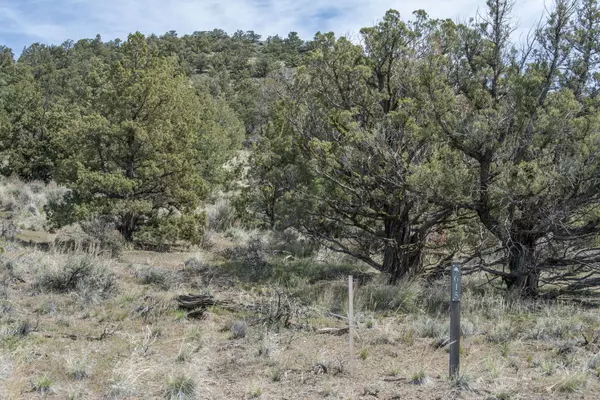 Powell Butte, OR 97753,15944 Hat Rock LOOP #Lot 615