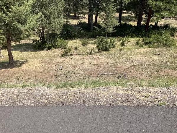 Klamath Falls, OR 97601,Dunlin LN #Lot 936