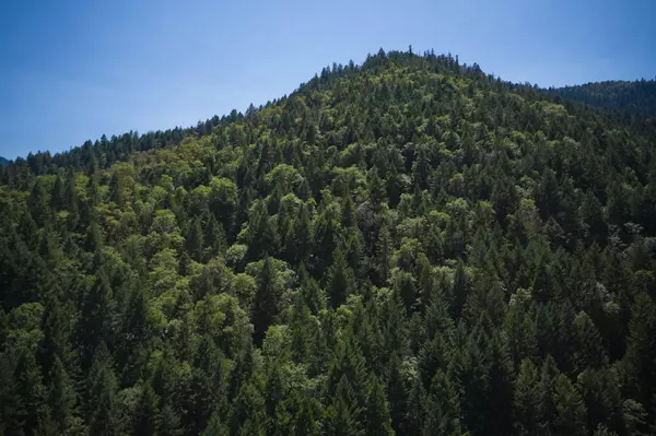 Grants Pass, OR 97527,1150 Savage Creek RD