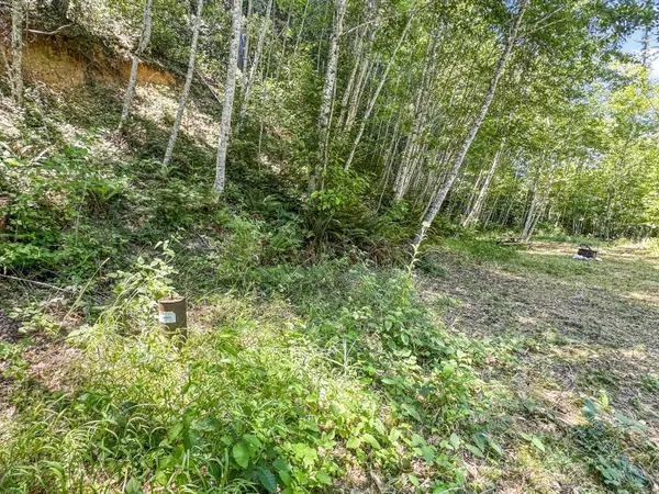 Glendale, OR 97442,Mount Reuben RD