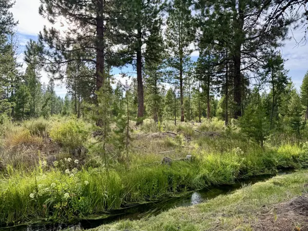 La Pine, OR 97739,1965 Rector DR