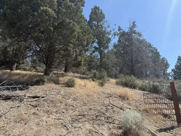 Chiloquin, OR 97624,0 Mountain Trout LN