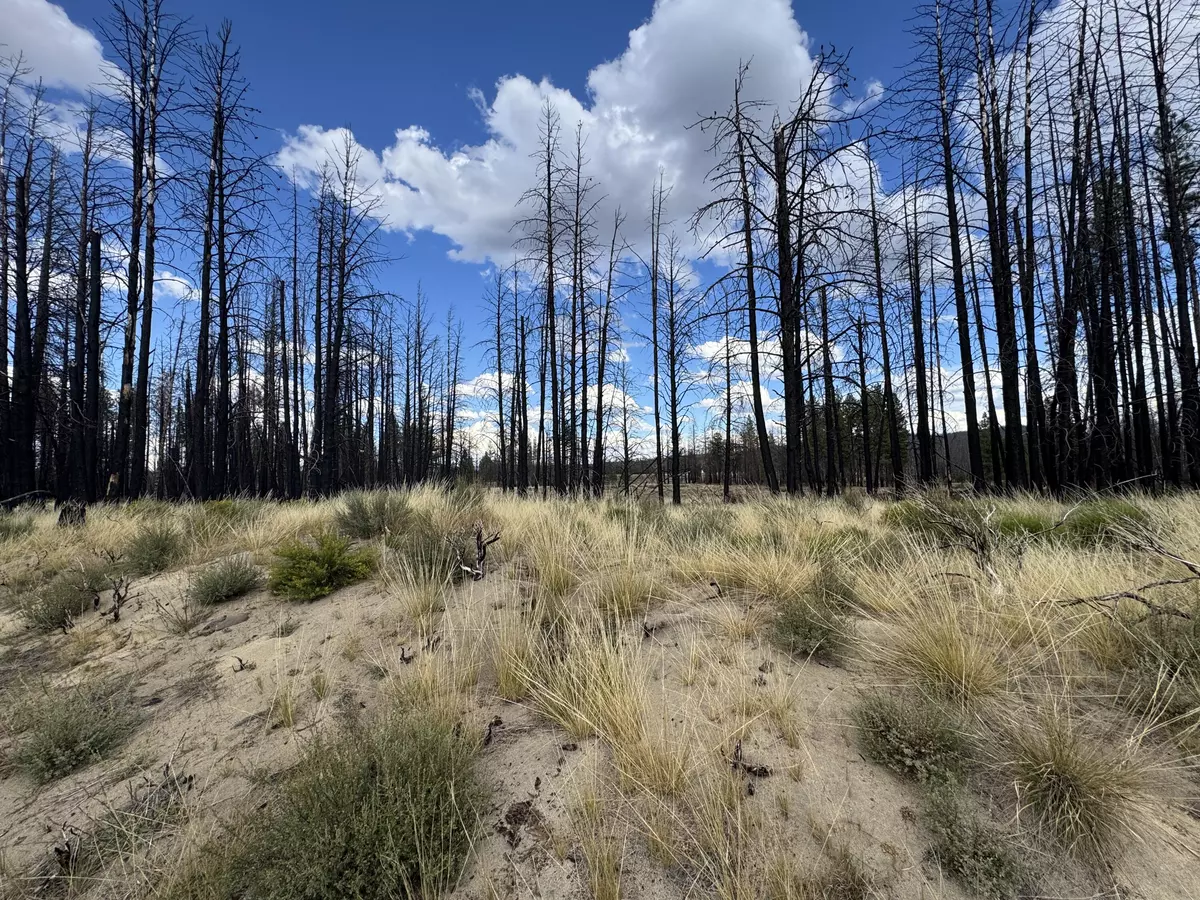 Beatty, OR 97621,0 Shasta Fir LN #9