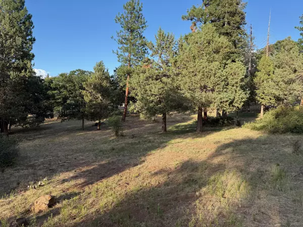 Klamath Falls, OR 97601,917 Redstart