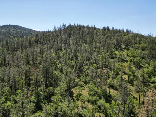 Eagle Point, OR 97524,TL 201 Antelope RD