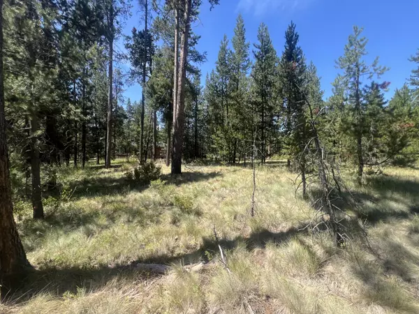 Bend, OR 97707,17281 Merganser DR