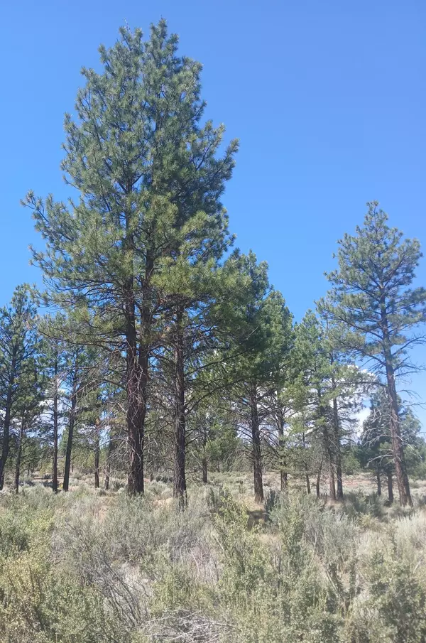Sprague River, OR 97639,0 Sprague River RD #Lot 32