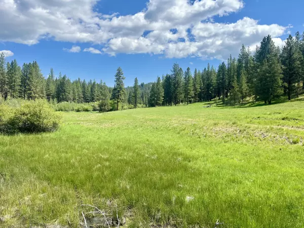 Mount Vernon, OR 97865,USFS 36 Road