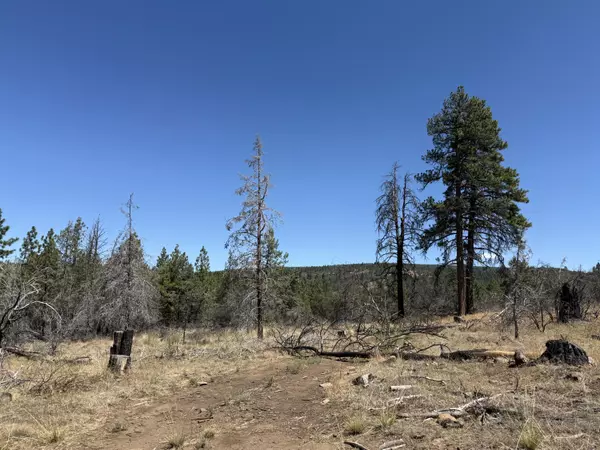 Bonanza, OR 97623,0 Jaguar LN #Lot 4