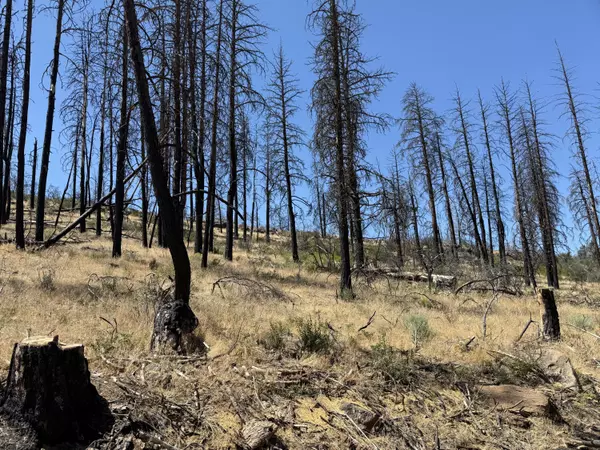 Bonanza, OR 97623,0 Wren DR #Lot 6