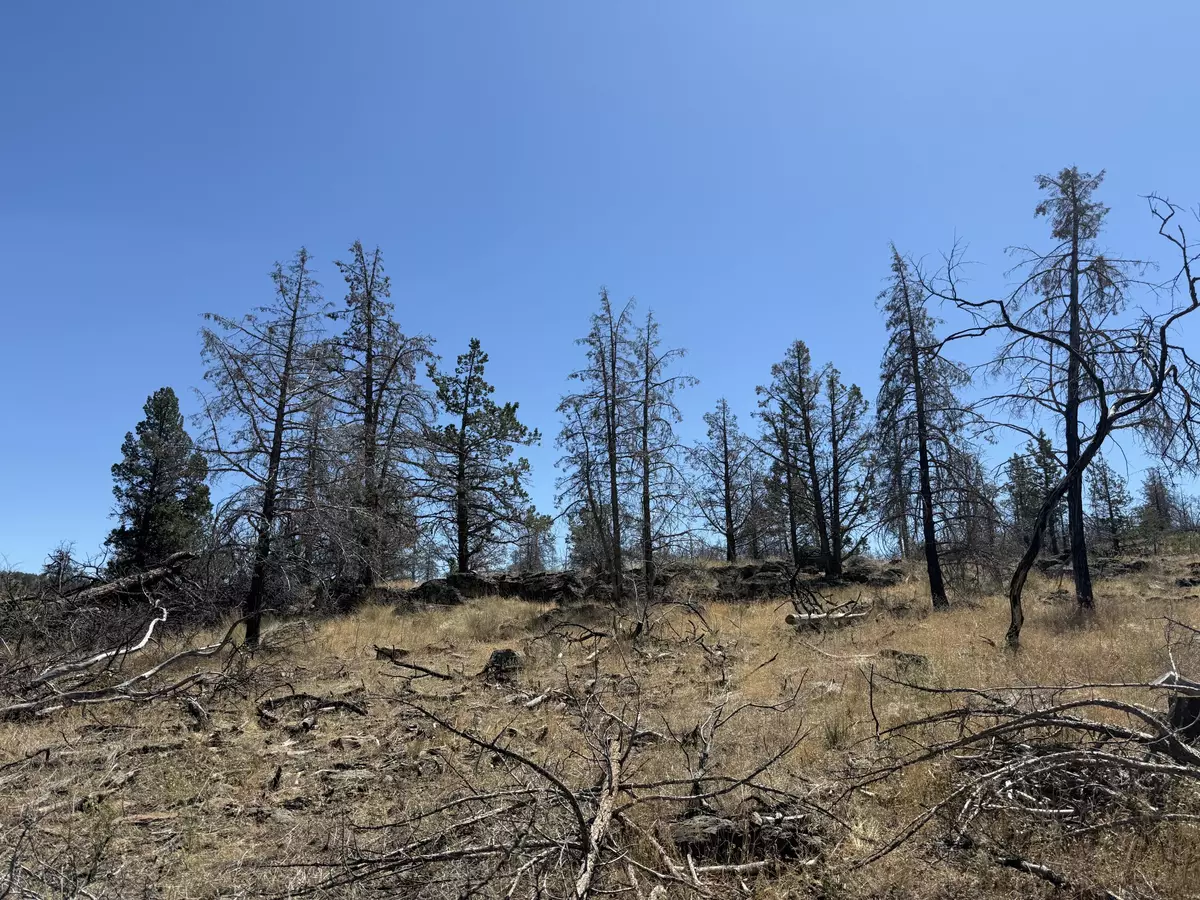 Bonanza, OR 97623,0 Wren DR #Lot 6