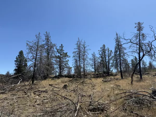 0 Wren DR #Lot 6, Bonanza, OR 97623