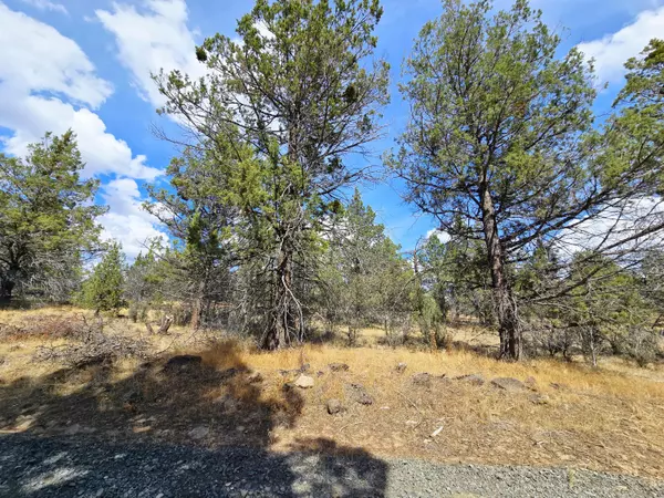 Bonanza, OR 97623,Canvasback DR #32