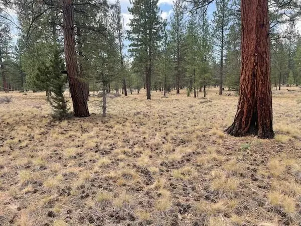 69164 N Pine St ST, Sisters, OR 97759