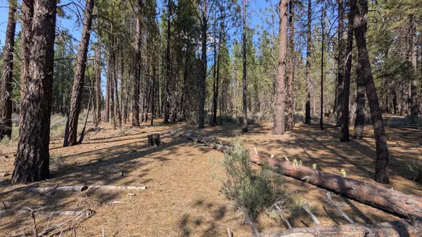 Chiloquin, OR 97624,Green Forest DR #2, 3