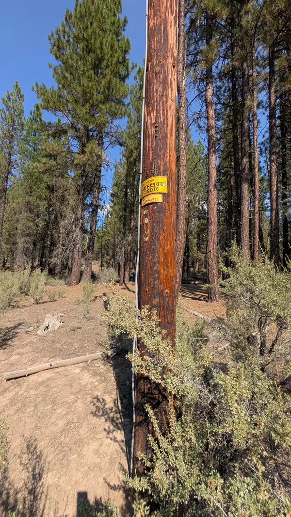 Chiloquin, OR 97624,Green Forest DR #2, 3