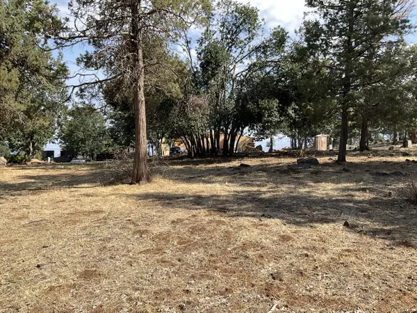 Klamath Falls, OR 97601,0 Cinnamon Teal DR #Lot 593