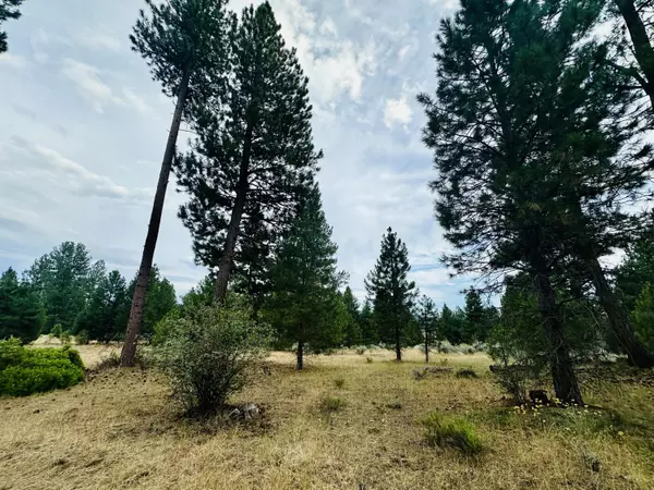 Klamath Falls, OR 97601,2.0 Acres off Keno Acc Road