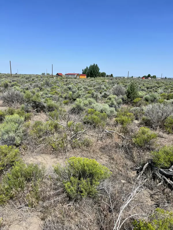 Christmas Valley, OR 97641,000 Larch St.
