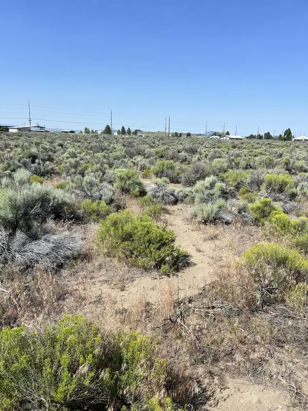 Christmas Valley, OR 97641,000 Larch St.