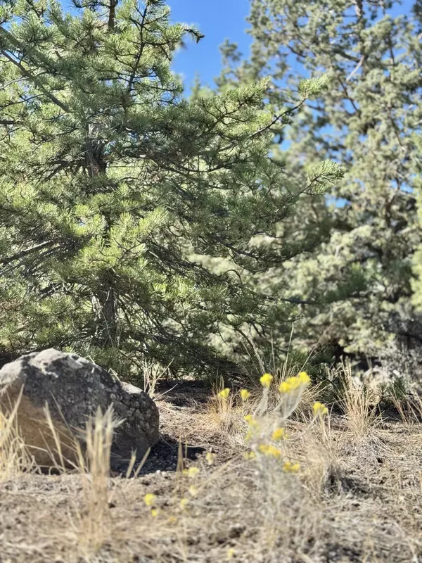 Redmond, OR 97756,34th CT #Lot #62