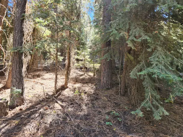 Bonanza, OR 97623,Kodiak LN #Lot 9 Block 11