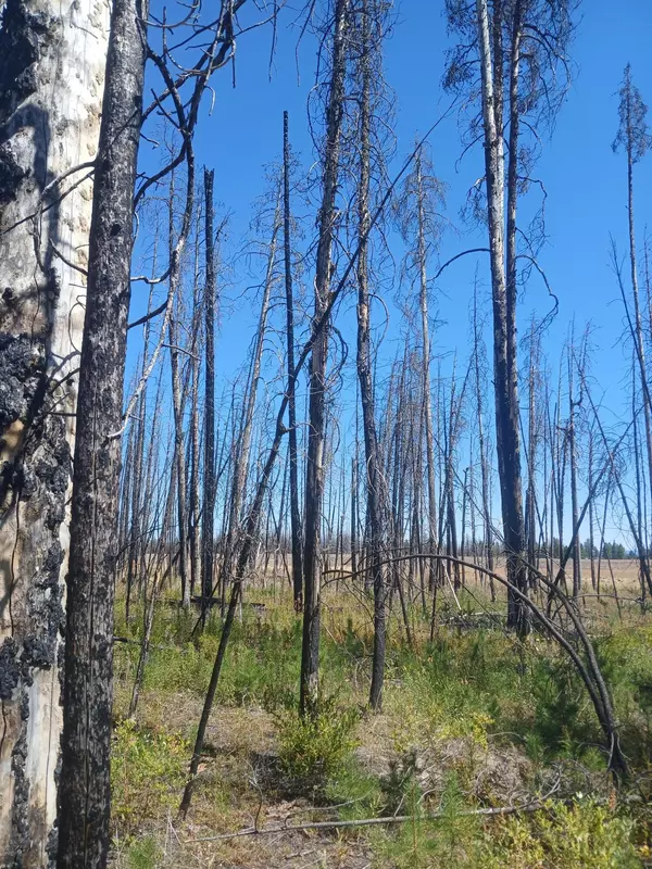 Beatty, OR 97621,0 White Oak LN #Lot #9