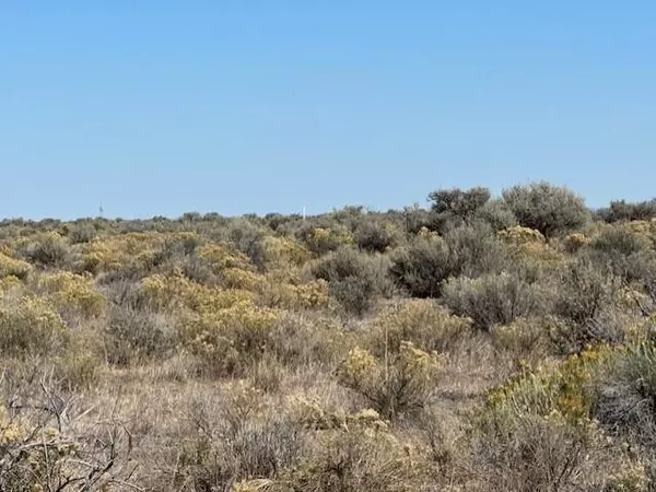 Christmas Valley, OR 97641,off Rockhouse (0716) RD