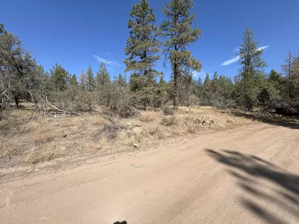 Bonanza, OR 97623,0 Chicken Hawk DR #27