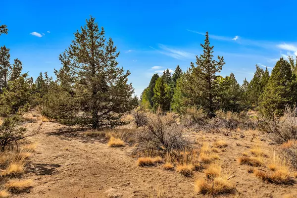 Bend, OR 97701,21533 Stony Ridge RD