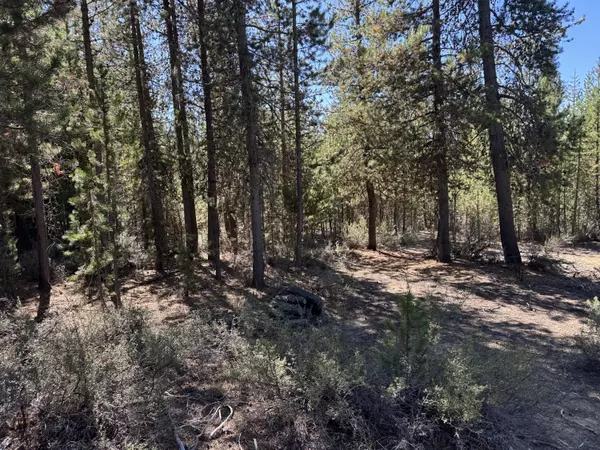 Crescent Lake, OR 97733,Crescent Moon Drive #29