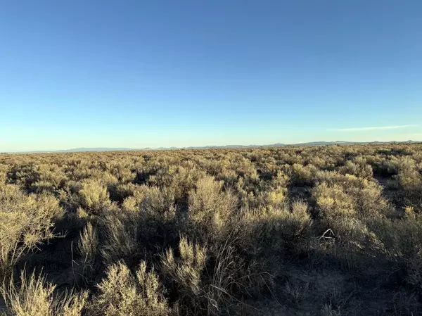 Fossil Lake Road #500, Christmas Valley, OR 97641
