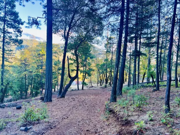 Trail, OR 97541,501 Elder Mill RD