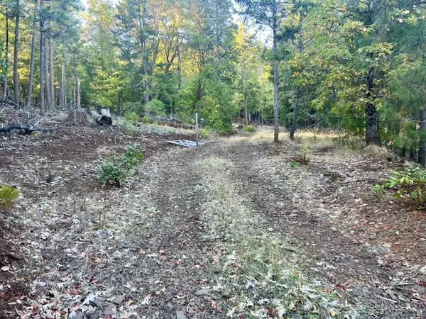 Trail, OR 97541,501 Elder Mill RD