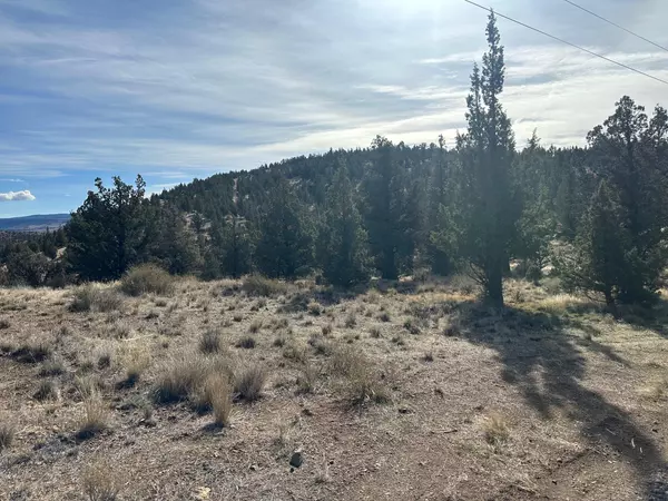 Prineville, OR 97754,Renegade LOOP #Lot 3