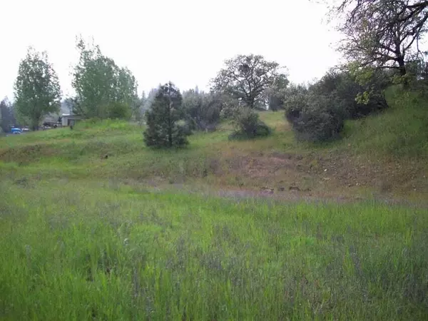 Shady Cove, OR 97539,0 Train LN