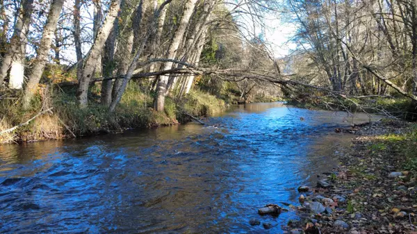 188 Pisqually LN, Azalea, OR 97410