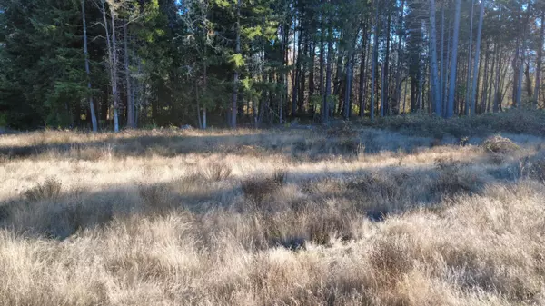 Azalea, OR 97410,188 Pisqually LN