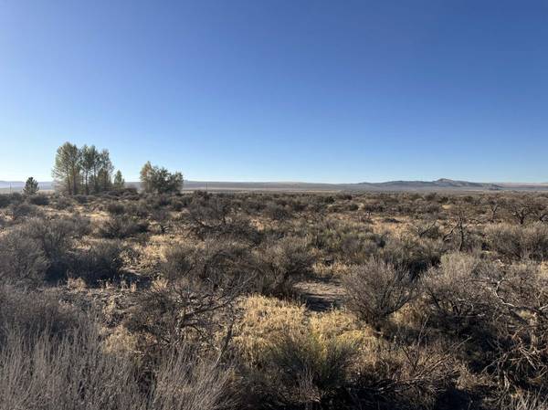 Pinion Lane #9200, Christmas Valley, OR 97641