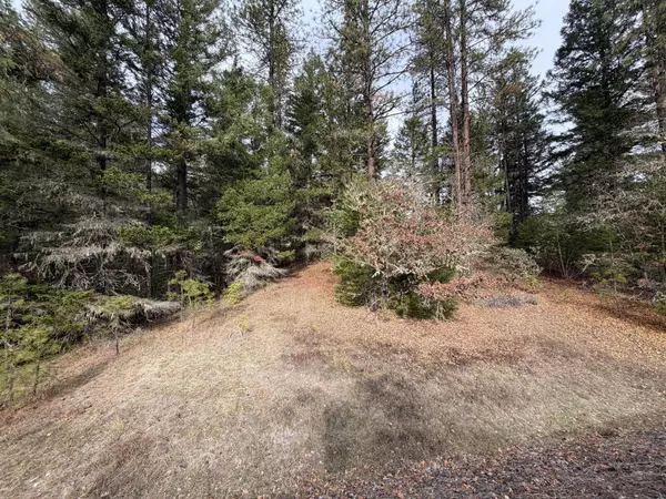 White City, OR 97503,0 E Evans Creek RD #10149531