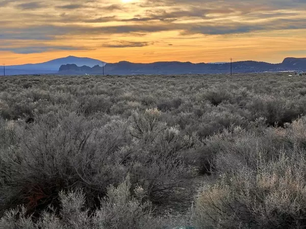 Christmas Valley, OR 97641,Oil Dry RD #TL 2600