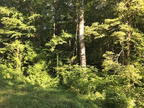 0 Brentwood & Murrell Rd & Grist, Morristown, TN 37814