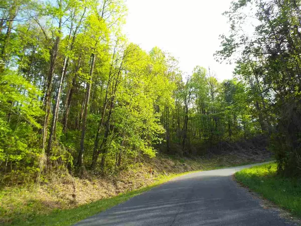 Cosby, TN 37722,Lot 4 Schisandra LN