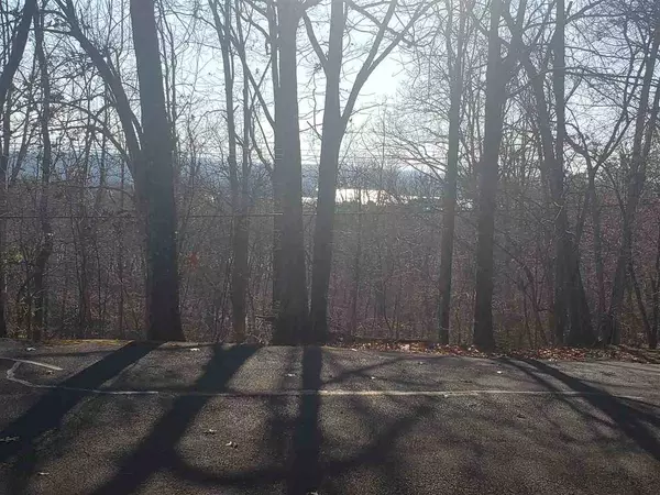 1405 Echota LN, Mooresburg, TN 37811